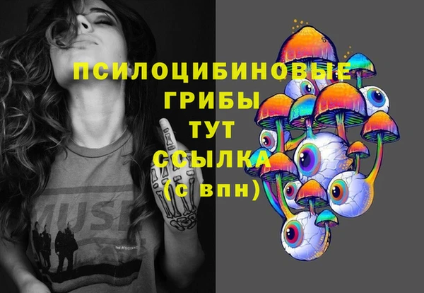 a pvp Алексин