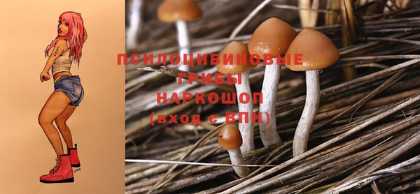 эйфоретик Алексеевка